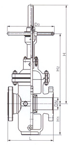 Z43F 導流孔平行式閘閥結(jié)構示意圖